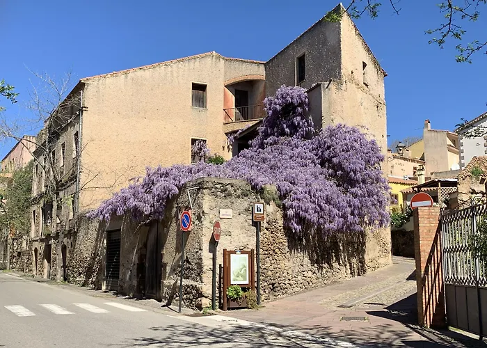 Casa De Ajala - B&B de Charme in Antica Dimora totalmente ristrutturata e dotata di tutti i confort Bagni privati Spazio living Patio esterno Ambienti climatizzati Degustazioni prodotti locali